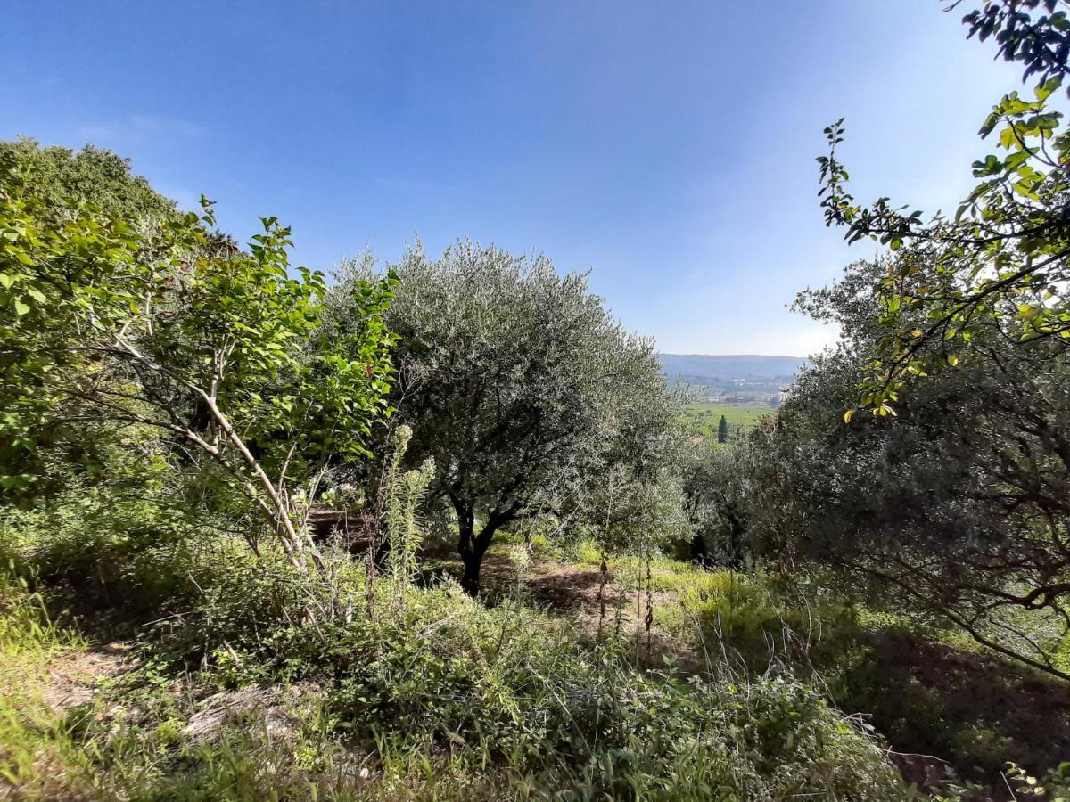 Ca Del Vajo Valpolicella House Holiday home