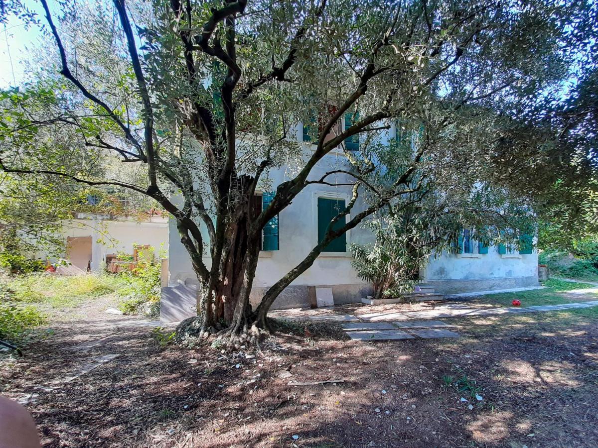 Ca Del Vajo Valpolicella House Holiday home Negrar