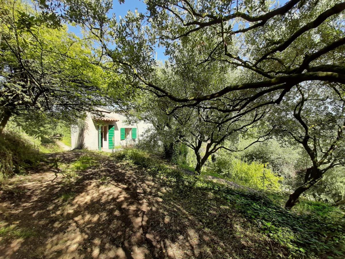 Ca Del Vajo Valpolicella House Holiday home Negrar