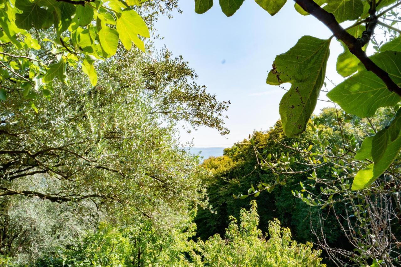 Holiday home Ca Del Vajo Valpolicella House