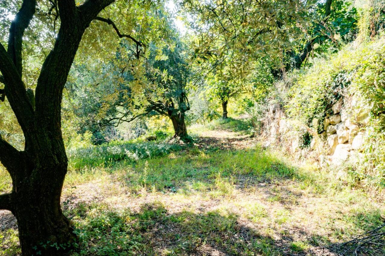 Holiday home Ca Del Vajo Valpolicella House *